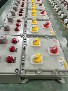 BXX-5/16L加氣站防爆電源配電箱