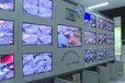 新郑医院海康球形摄像机太阳能监控杆图片