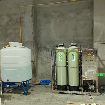 反渗透设备工业纯纯水处理辉月纯净水设备厂家