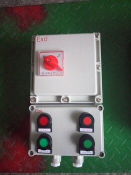 BDX51-2/100D防爆動力配電箱(動力檢修)