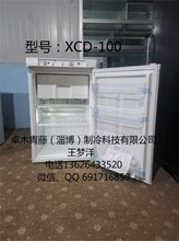 卓木青藤燃气冰箱XCD-100/300,XD-200/320大容积卧式冰柜生产批发图片