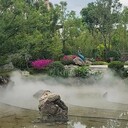 烈日炎炎不用怕，霧森景觀讓你清涼賞美景