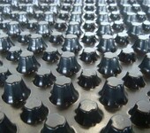 上海市建筑綠化塑料排水板，園林回填蓄排水板廠家