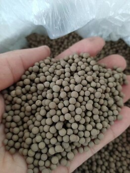 英菲達(dá)生物菌劑之菌顆?；钚跃N凈化水質(zhì)全溶水非全溶
