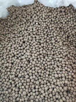 生物菌顆粒水產(chǎn)改底增氧吸附分解有毒物質(zhì)調(diào)水護(hù)草
