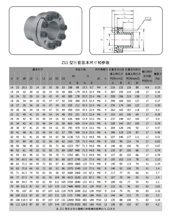 Z11_01.jpg