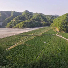 尾矿库在线监测系统详解