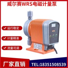 WRS威尔赛电磁计量泵污水处理加药泵耐酸碱电磁泵