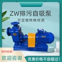 ZW65-25-30自吸排污泵