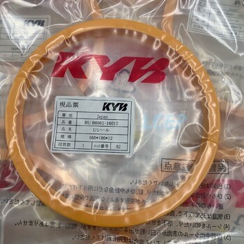 原裝進口日本KYB油封B6961IDI液壓油缸密封圈