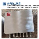 粉塵防爆接線箱ExtbIIICDb21區(qū)防爆電箱