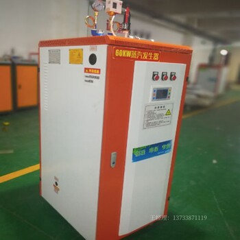 電加熱蒸汽發(fā)生器承壓蒸汽鍋爐立式0.7mpa0.5噸