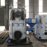 板材加工生物质蒸汽发生器立式1.5吨蒸发器锅炉