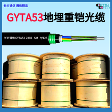 GYTA53鎧裝直埋光纜，24芯單模地埋光纜圖片