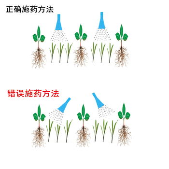 大蒜苗后禾闊雙除的除草劑