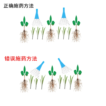 薄荷田苗后除草剂乳油内吸型除草剂