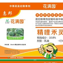 冬瓜苗后除草剂15%精喹禾灵禾阔双除