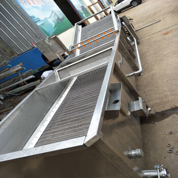 氣泡清洗機-氣泡清洗機廠-果蔬氣泡清洗機
