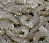海虾-海鲜多种虾类海产品冷冻海鲜