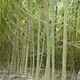 b201309201741223566.jpg