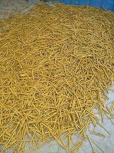 金枝槐和金葉槐是不一樣的品種