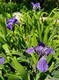 IMG_20200428_120104.jpg