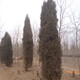 P1020847.JPG