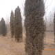 P1020846.JPG