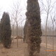 P1020848.JPG