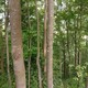 5_420_1555854_800_600.jpg