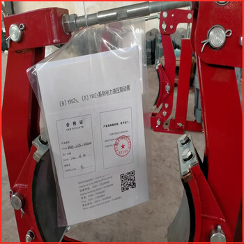 防爆液壓制動(dòng)器BYWZ5結(jié)構(gòu)緊湊制動(dòng)恒陽(yáng)重工