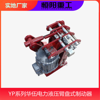 連鎖保護(hù)恒陽(yáng)YPZ2-50/6液壓臂盤式制動(dòng)器