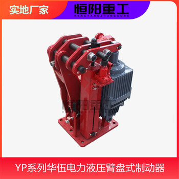 提供YPZ2I-30/5液压臂盘式制动器恒阳重工