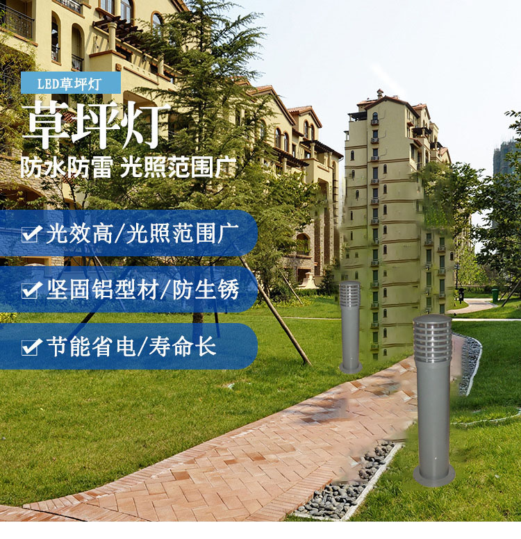 草地背景1.jpg