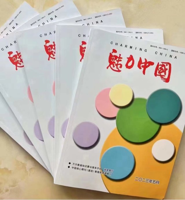 魅力中國2589.png