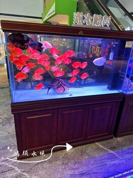 無錫定做魚缸無錫賣魚缸的地方嵌入式魚缸