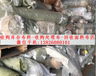 白云區收購處理布.海珠回收布料.廣州面料回收