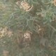 IMG_20230822_082257