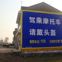 湖北武汉汉南蔡甸江夏乡村主干道墙体广告