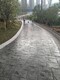 u=3337130646,2473573199&fm=199&app=68&f=JPEG