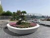 儋州现代城市美学艺术混凝土圆形树池真石丽泰科石现场浇筑