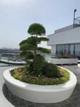 城市景观建筑泰科砼树池休闲真石丽泰科石坐凳上海本地施工公司