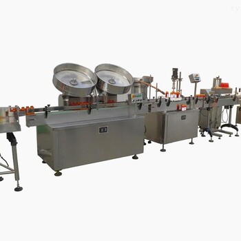 雙頭伺服灌裝機(jī),10KG飲用水灌裝機(jī)