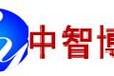 中国小型车行业市场调研及投资前景预测报告2024-2030年