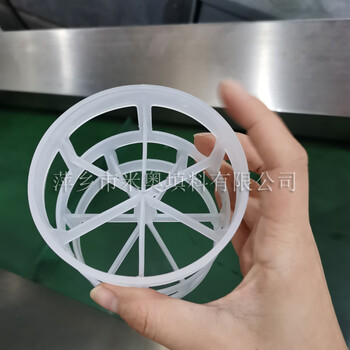 塑料鲍尔环厂家供应Φ100mm聚丙烯鲍尔环