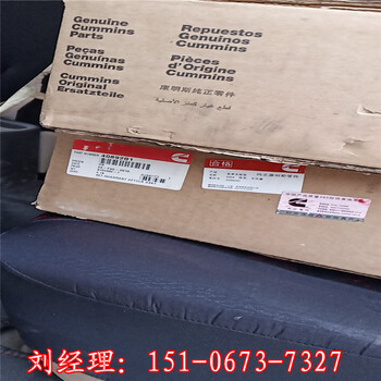 康明斯气门导管/密封件拆卸和安装工具3163399