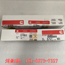 TR100礦用汽車缸套嵌入3011884康明斯4371678