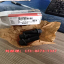 4087890礦用卡車QSK19-C700噴油嘴4928349淮北礦場合作單位