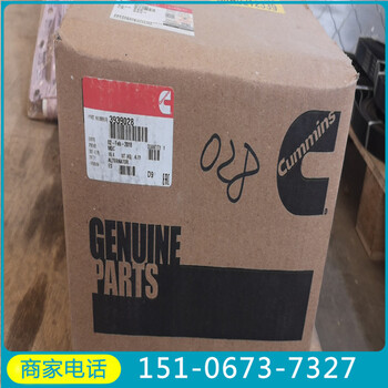 別拉斯75306燃油泵4307244BH30康明斯Pump（oem生產(chǎn)