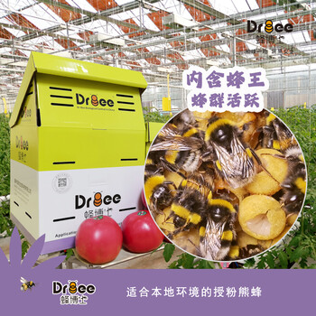 DRBEE蜂博士熊蜂授粉熊蜂熊蜂公司